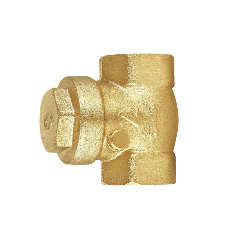 OEM High Quality Swing Check Valve Vertical Check Valve China Suppliers details
