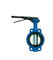 China Manufacture Cheap Price Top Quality Manual Worm Operated Wafer Butterfly Valve