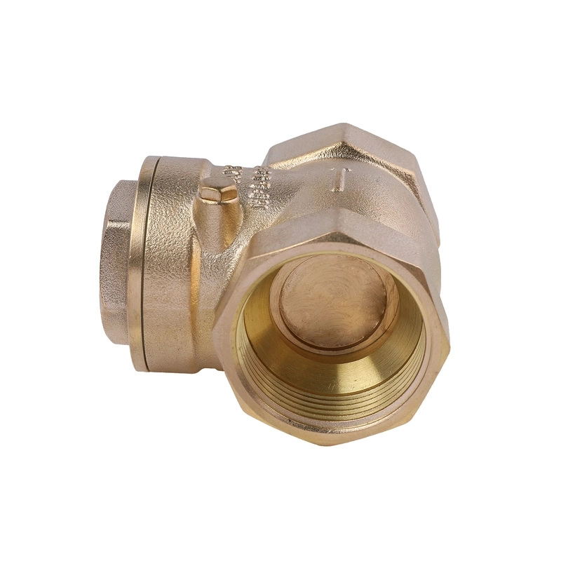 OEM High Quality Swing Check Valve Vertical Check Valve China Suppliers factory