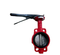 China Manufacture Cheap Price Top Quality Manual Worm Operated Wafer Butterfly Valve