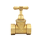 1.6MPa Copper Single-Handle Manual One-Way Brass Globe Valve with Double Internal Threads China Supplier