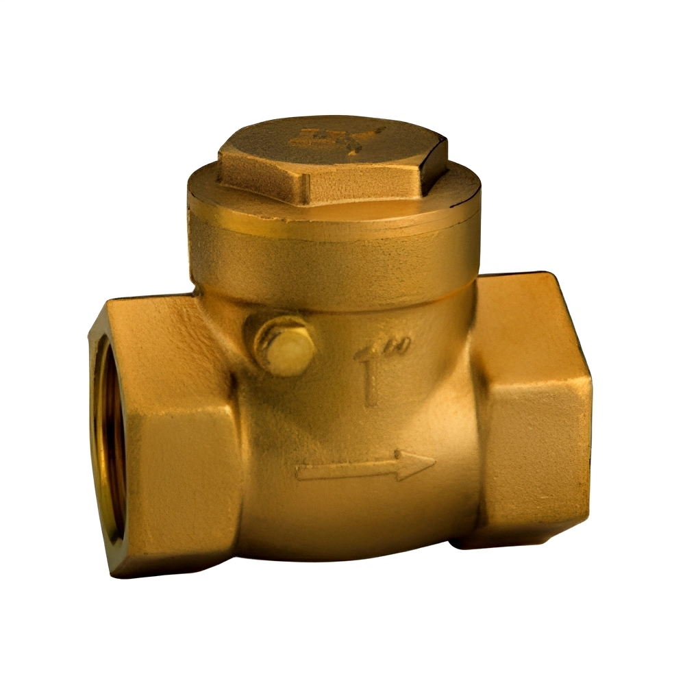 OEM High Quality Swing Check Valve Vertical Check Valve China Suppliers factory