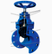 10 Inch DI Resilient Wedge Rising Stem Gate Valve with Long Extension Spindle Electric Power General Application Water Gas Media