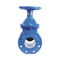 DN25 DN80 DN150 DN250 PN16 Manual Power Ductile Cast Iron Flanged Sluice Gate Valve Water Handwheel Operated General Application