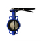 Huhang Handle Type Vertical Plate DI Two Way Soft Seal Stainless Steel DISC butterfly Valve