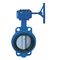 China Manufacture Cheap Price Top Quality Manual Worm Operated Wafer Butterfly Valve