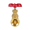 High Quality Brass Globe Valve 1/2-4 Inch Manual Handwheel Bellow Seal Flange Customizable OEM for Water Gas Oil Control Shutoff