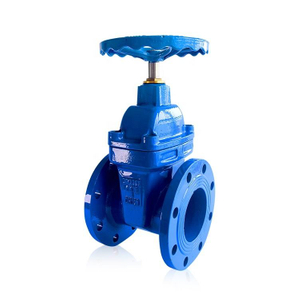 Soft-seated Gate Valve DN50 PN16 Stainless Steel Rising Stem Flanged