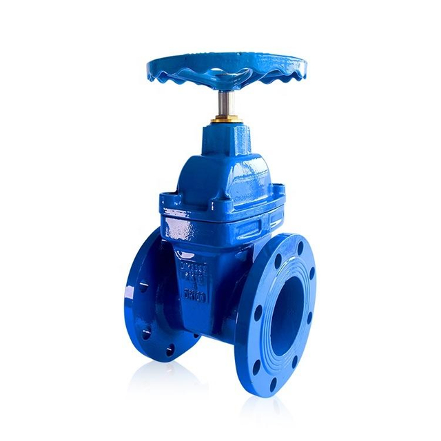 Soft-seated Gate Valve DN50 PN16 Stainless Steel Rising Stem Flanged