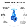 Soft-seated Gate Valve DN50 PN16 Stainless Steel Rising Stem Flanged