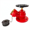 Ductile iron body body fire‑fighting water system indoor fire hydrant