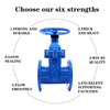 Soft-seated Gate Valve DN50 PN16 Stainless Steel Rising Stem Flanged