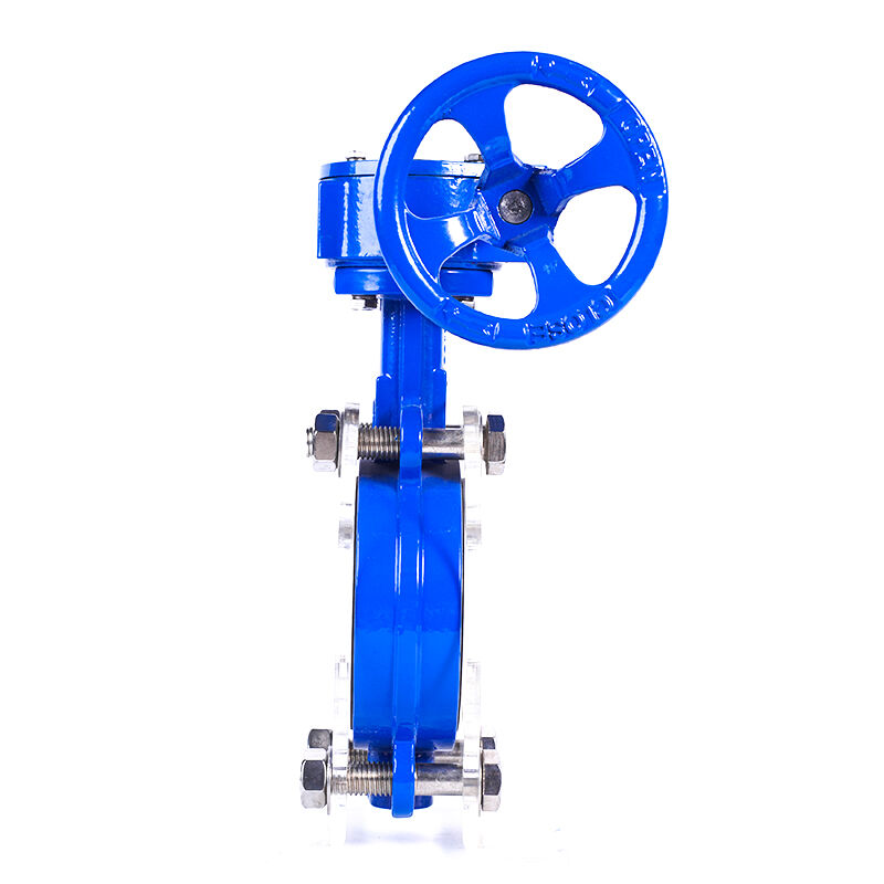 How Does a Butterfly Valve Enable Quick Shutoff and Flow Regulation?